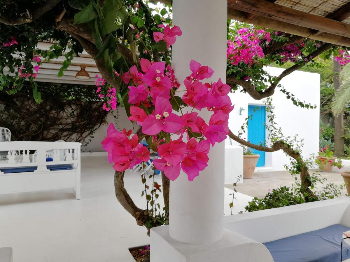 Casa Carlotta Panzió Stromboli Kültér fotó