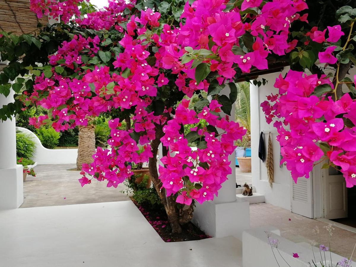 Casa Carlotta Panzió Stromboli Kültér fotó